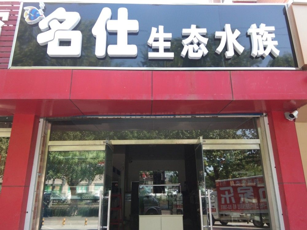 臨淄開水族店怎么樣？加盟祥龍魚場賣龍魚市場怎樣？
