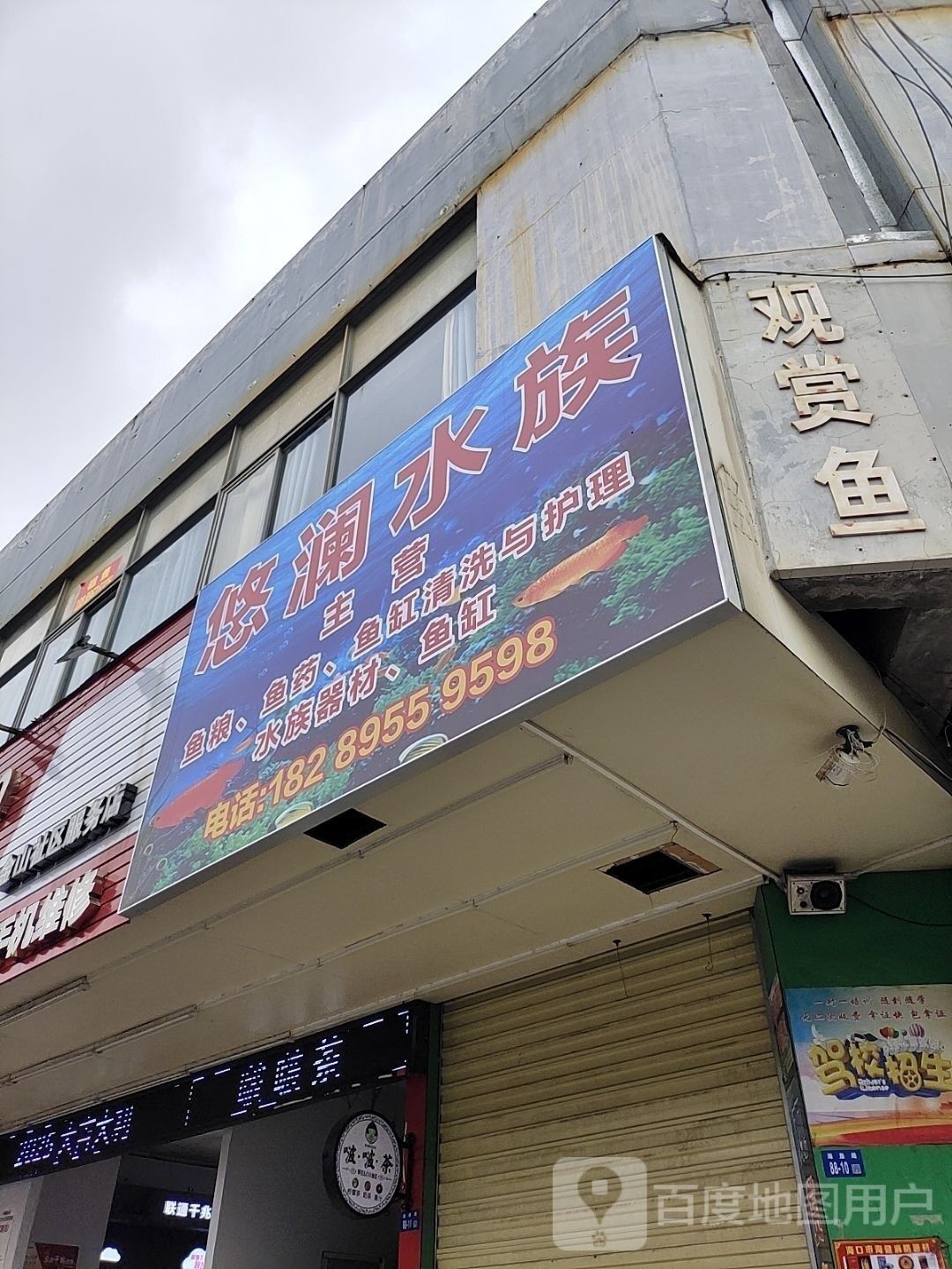 海南州開水族店怎么樣？加盟祥龍魚場賣龍魚市場怎樣？ 海南州開水族店怎么樣？加盟祥龍魚場賣龍魚市場怎樣？ 水族館百科（水族館加盟） 第5張