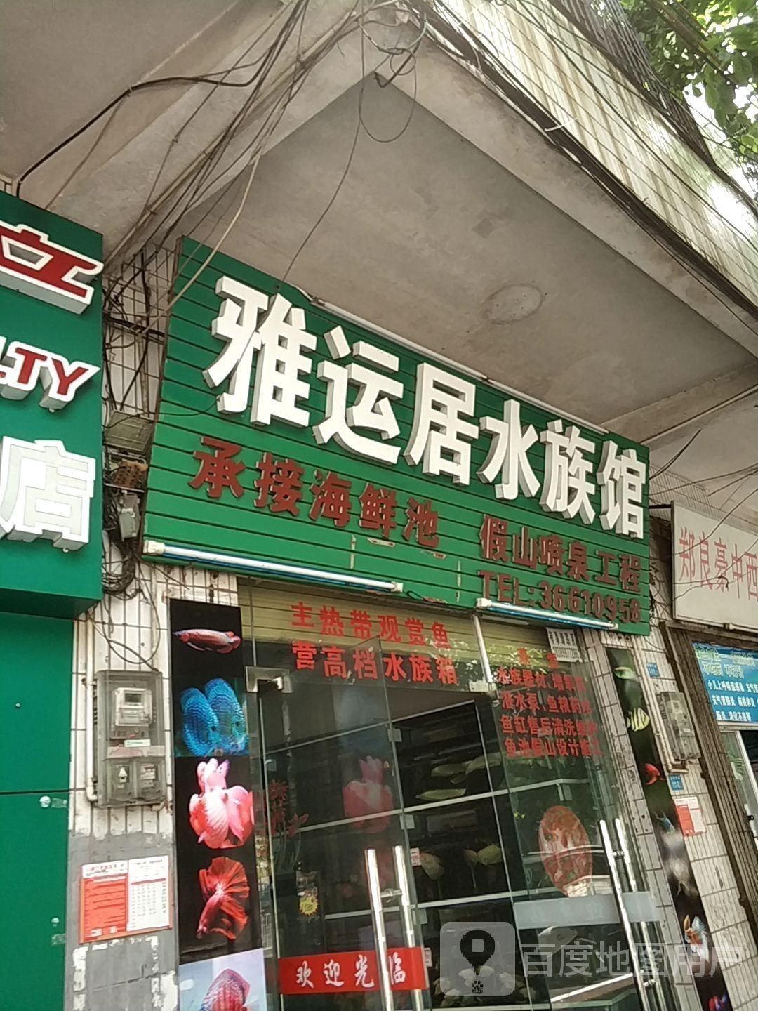 海南州開水族店怎么樣？加盟祥龍魚場賣龍魚市場怎樣？ 海南州開水族店怎么樣？加盟祥龍魚場賣龍魚市場怎樣？ 水族館百科（水族館加盟） 第3張