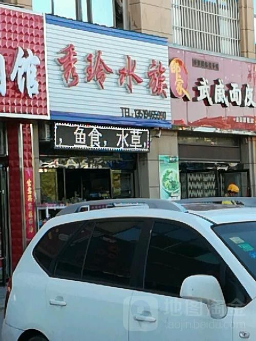 金昌開水族店怎么樣？加盟祥龍魚場賣龍魚市場怎樣？