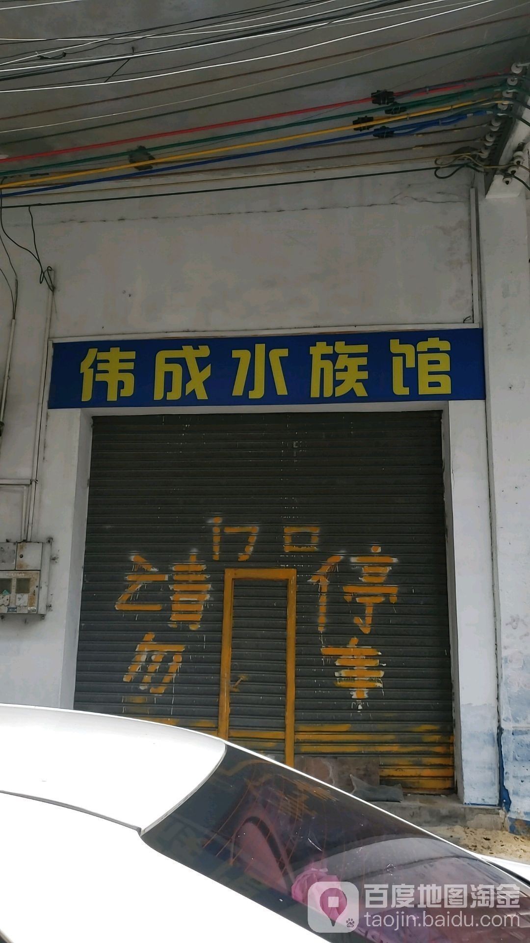 廣陽開水族店怎么樣？加盟祥龍魚場賣龍魚市場怎樣？ 廣陽開水族店怎么樣？加盟祥龍魚場賣龍魚市場怎樣？ 水族館百科（水族館加盟） 第6張