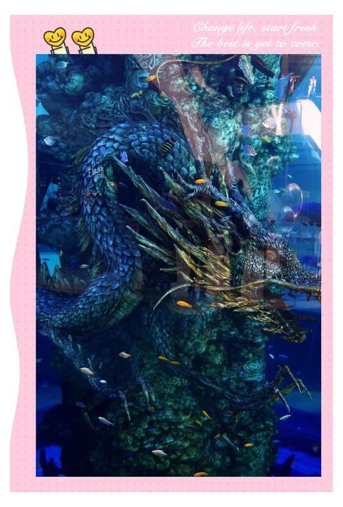 江西開水族店怎么樣？加盟祥龍魚場(chǎng)賣龍魚市場(chǎng)怎樣？