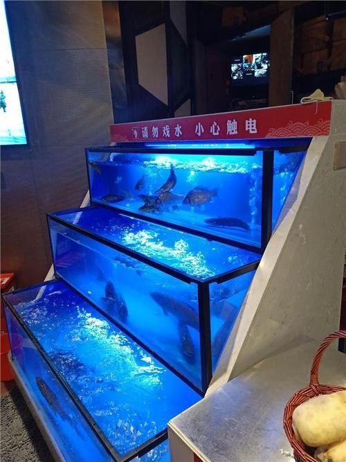 江西開水族店怎么樣？加盟祥龍魚場賣龍魚市場怎樣？