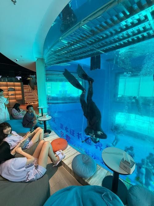 陶樂開水族店怎么樣？加盟祥龍魚場賣龍魚市場怎樣？