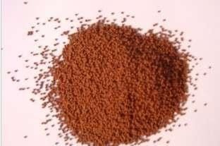 魚缸水剛換就變渾濁（如何快速建立魚缸硝化系統）