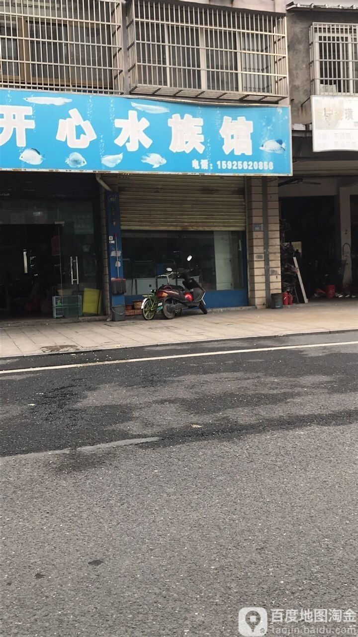 蕭山開水族店怎么樣？加盟祥龍魚場賣龍魚市場怎樣？
