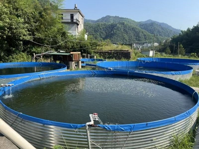 休寧開水族店怎么樣？加盟祥龍魚場賣龍魚市場怎樣？