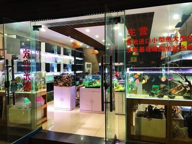 沿灘開水族店怎么樣？加盟祥龍魚場賣龍魚市場怎樣？