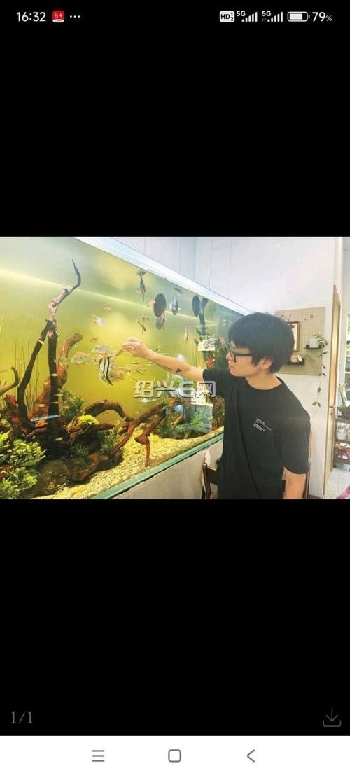 紹興開水族店怎么樣?加盟祥龍魚場賣龍魚市場怎樣? 水族館百科(水族館加盟) 第4張 紹興開水族店怎么樣?加盟祥龍魚場賣龍魚市場怎樣? 紹興開水族店怎么樣?加盟祥龍魚場賣龍魚市場怎樣? 水族館百科(水族館加盟) 第4張