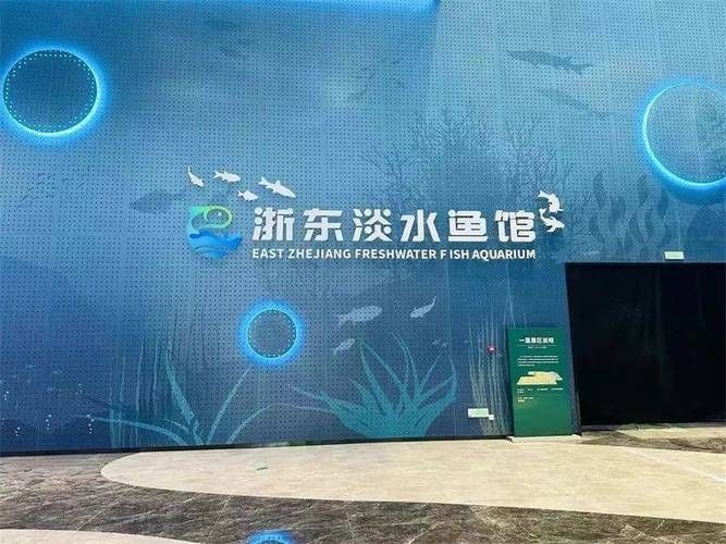 紹興開水族店怎么樣?加盟祥龍魚場賣龍魚市場怎樣? 水族館百科(水族館加盟) 第5張 紹興開水族店怎么樣?加盟祥龍魚場賣龍魚市場怎樣? 紹興開水族店怎么樣?加盟祥龍魚場賣龍魚市場怎樣? 水族館百科(水族館加盟) 第5張