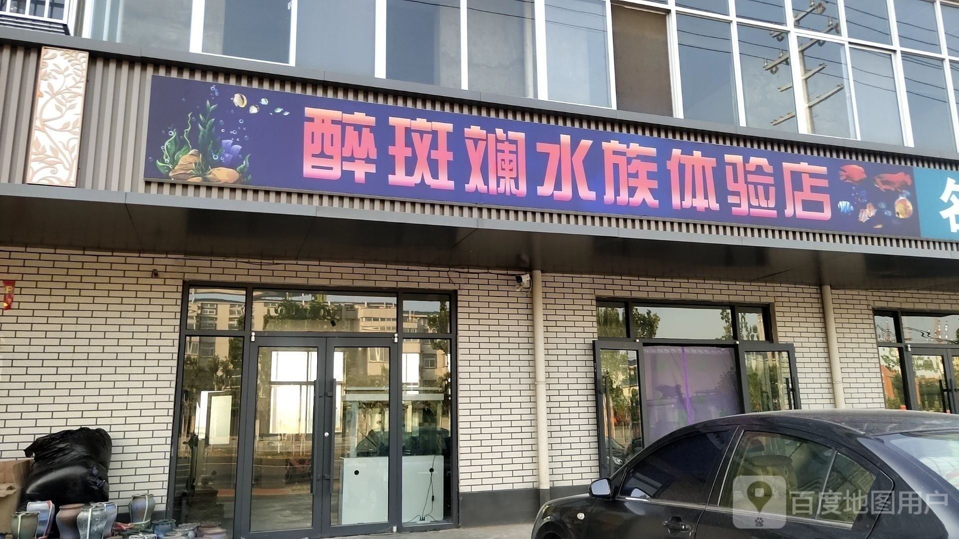 林州開水族店怎么樣？加盟祥龍魚場賣龍魚市場怎樣？