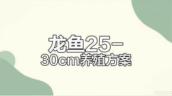 巴雅爾吐胡碩開水族店怎么樣？加盟祥龍魚場賣龍魚市場怎樣？ 巴雅爾吐胡碩開水族店怎么樣？加盟祥龍魚場賣龍魚市場怎樣？ 水族館百科（水族館加盟） 第7張