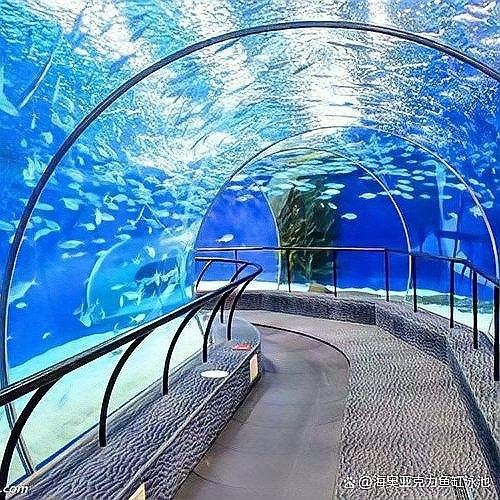 解放開水族店怎么樣？加盟祥龍魚場(chǎng)賣龍魚市場(chǎng)怎樣？