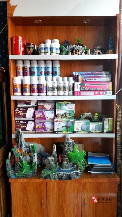 新鄭開水族店怎么樣？加盟祥龍魚場賣龍魚市場怎樣？