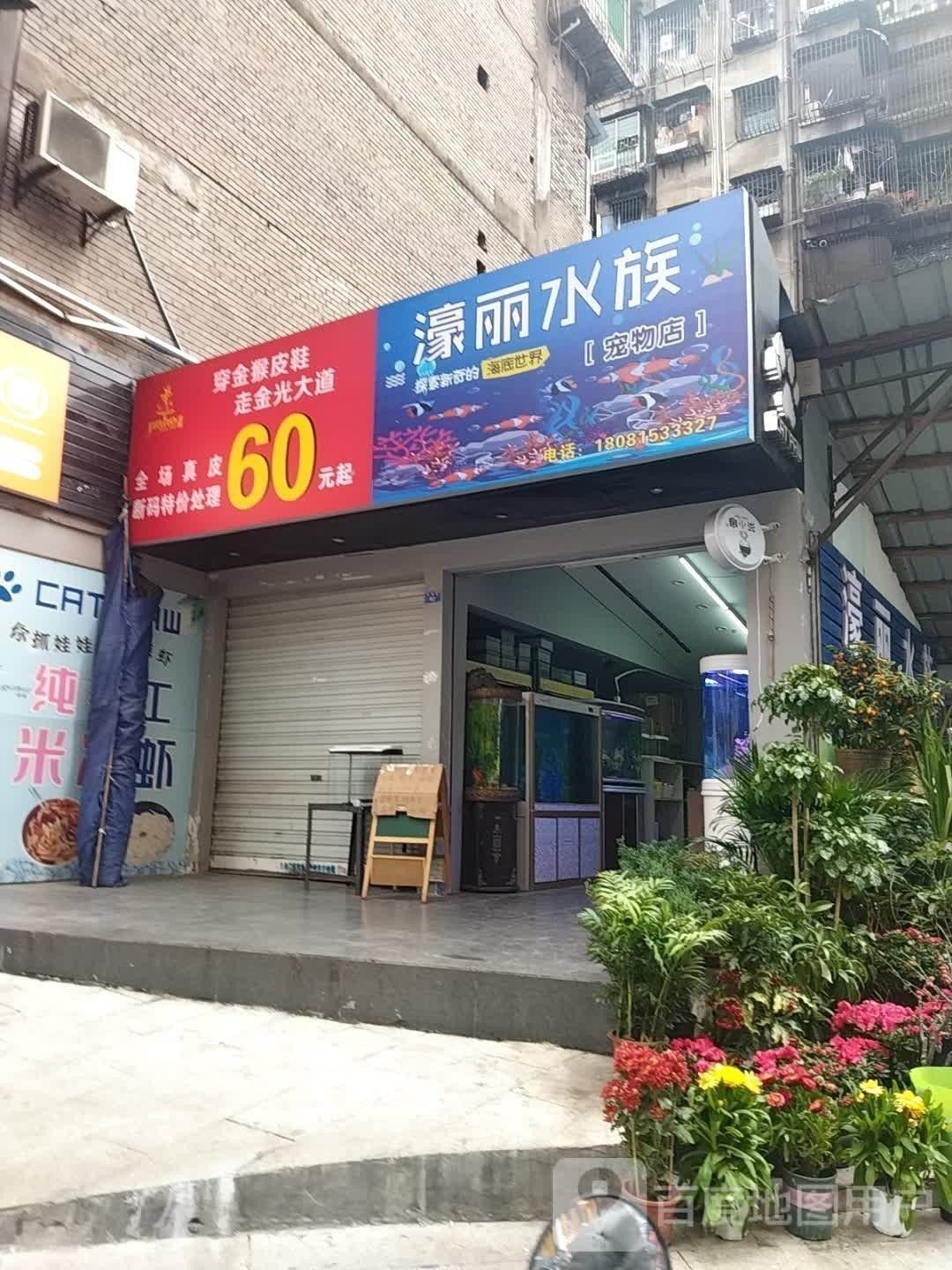 通川開水族店怎么樣？加盟祥龍魚場賣龍魚市場怎樣？