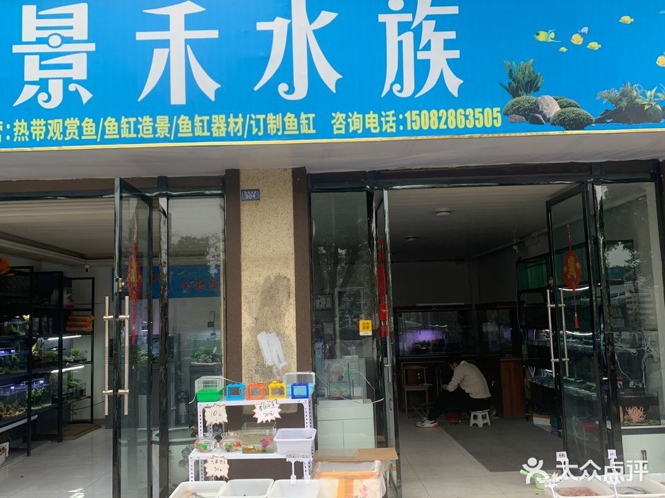 通川開水族店怎么樣？加盟祥龍魚場賣龍魚市場怎樣？