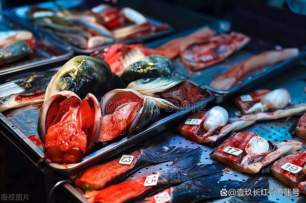 開平開水族店怎么樣？加盟祥龍魚場賣龍魚市場怎樣？