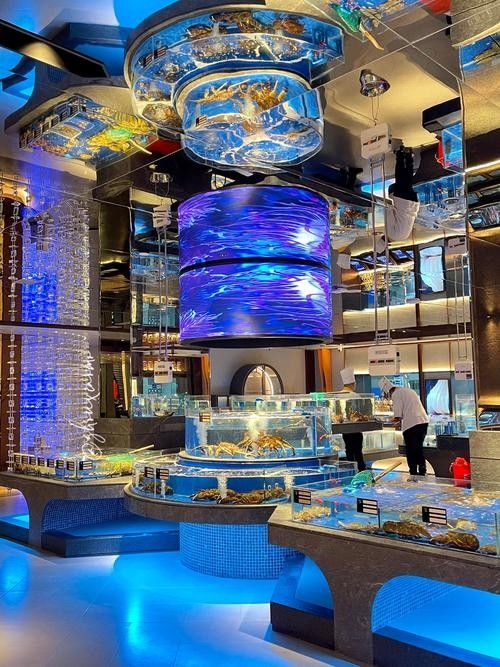 哈爾濱開水族店怎么樣？加盟祥龍魚場賣龍魚市場怎樣？
