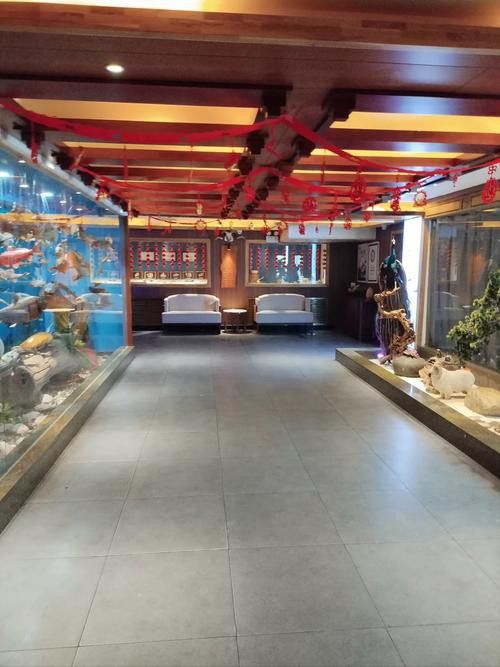 遼源龍魚專賣店