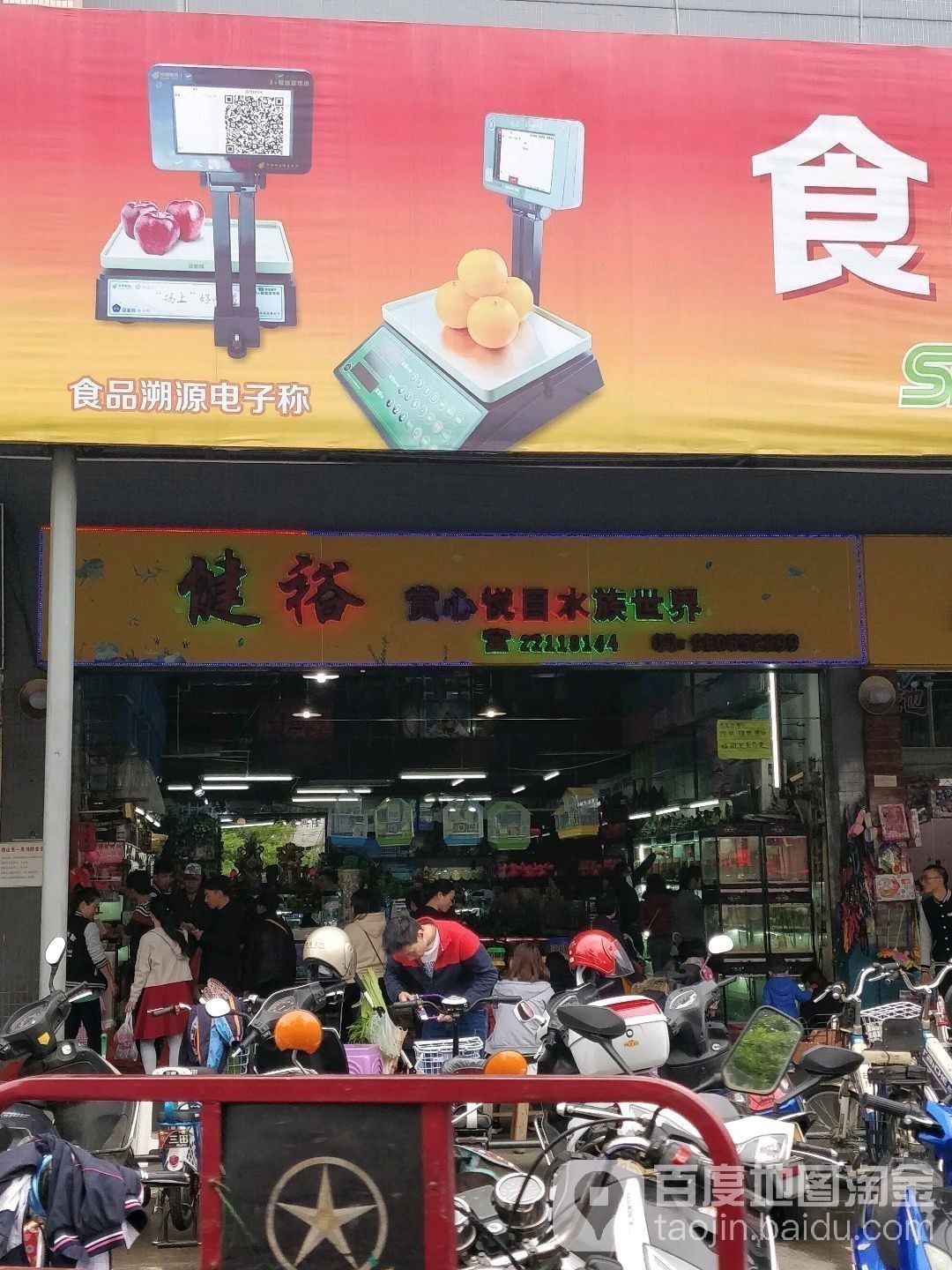 萬秀開水族店怎么樣？加盟祥龍魚場賣龍魚市場怎樣？