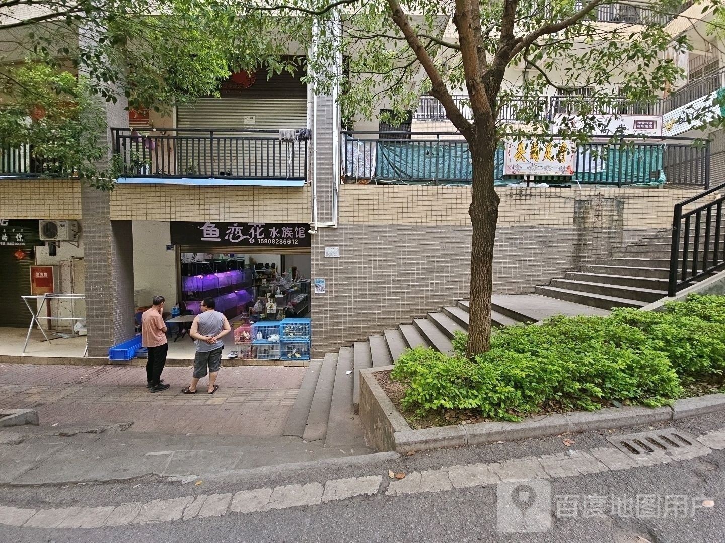寧南開水族店怎么樣？加盟祥龍魚場賣龍魚市場怎樣？