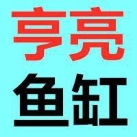 徐州開水族店怎么樣？加盟祥龍魚場賣龍魚市場怎樣？