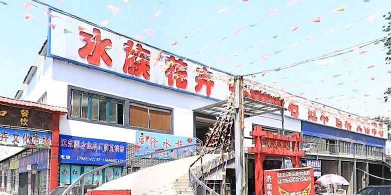 濟南開水族店怎么樣？加盟祥龍魚場賣龍魚市場怎樣？