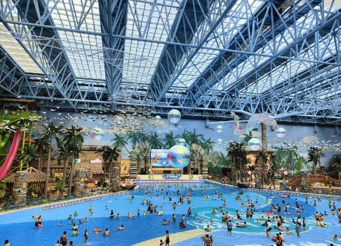 濟南開水族店怎么樣？加盟祥龍魚場賣龍魚市場怎樣？