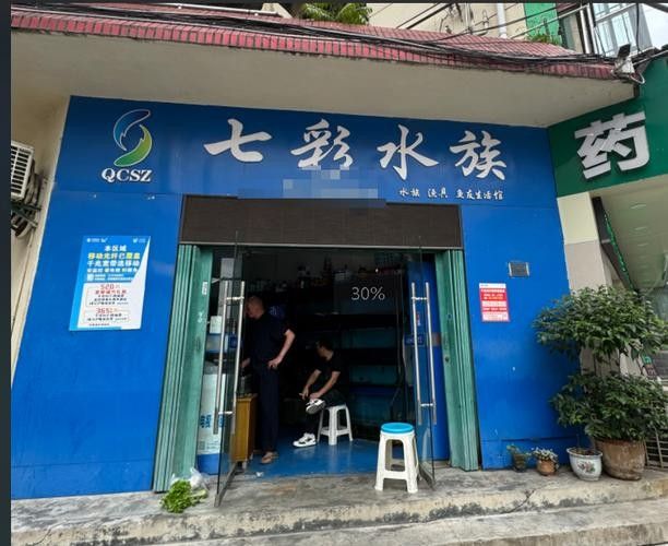 <strong><mark>海淀</mark></strong>開水族店怎么樣？加盟祥龍魚場賣龍魚市場怎樣？