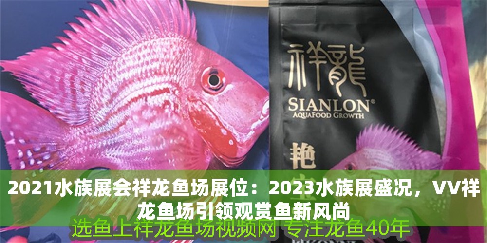 2021水族展會祥龍魚場展位：2023水族展盛況，VV祥龍魚場引領觀賞魚新風尚 2021水族展會祥龍魚場展位：2023水族展盛況，VV祥龍魚場引領觀賞魚新風尚 龍魚百科 第1張