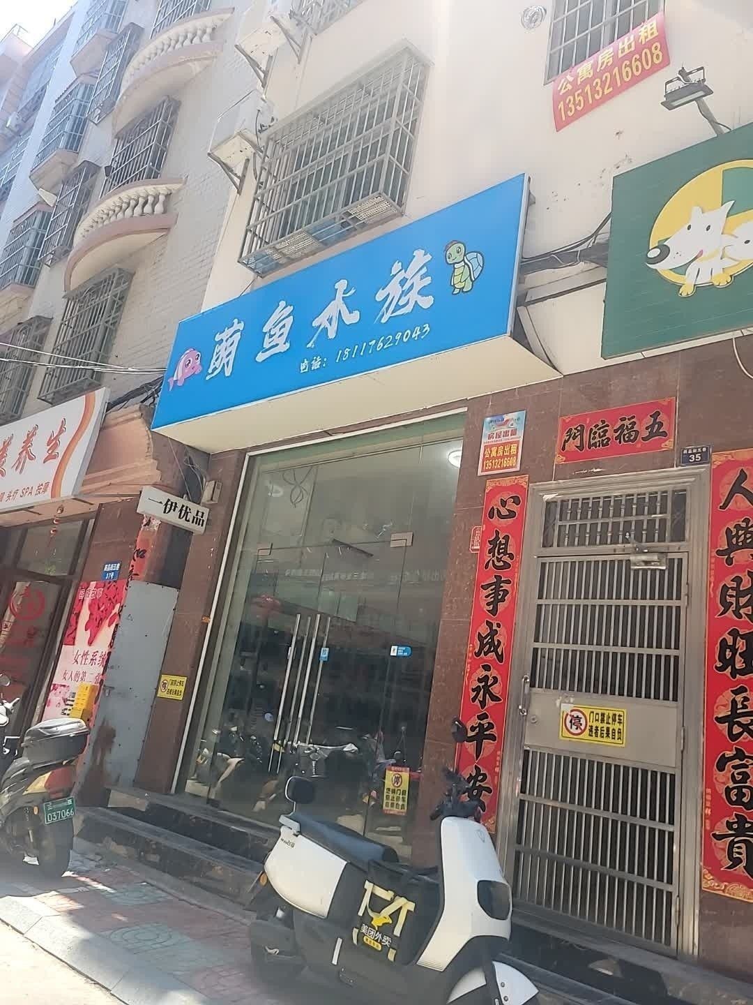 吉陽開水族店怎么樣？加盟祥龍魚場賣龍魚市場怎樣？ 吉陽開水族店怎么樣？加盟祥龍魚場賣龍魚市場怎樣？ 水族館百科（水族館加盟） 第2張