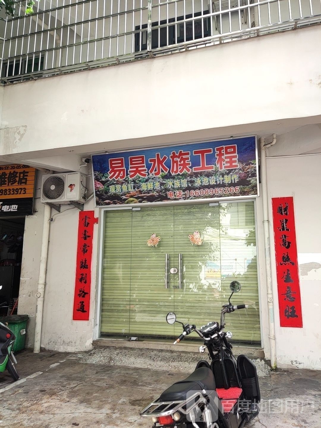 吉陽開水族店怎么樣？加盟祥龍魚場賣龍魚市場怎樣？ 吉陽開水族店怎么樣？加盟祥龍魚場賣龍魚市場怎樣？ 水族館百科（水族館加盟） 第1張