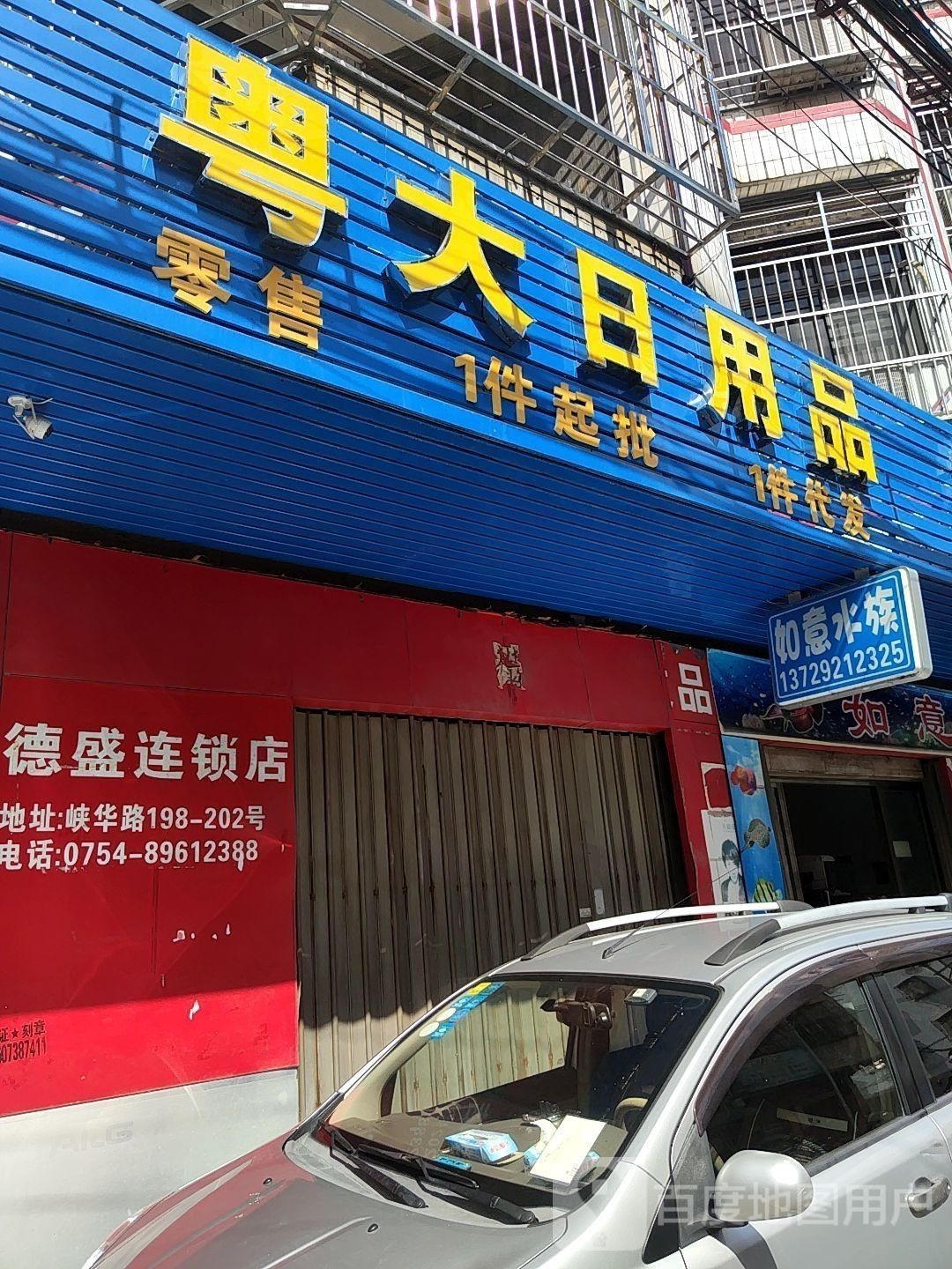 潮南開水族店怎么樣？加盟祥龍魚場賣龍魚市場怎樣？