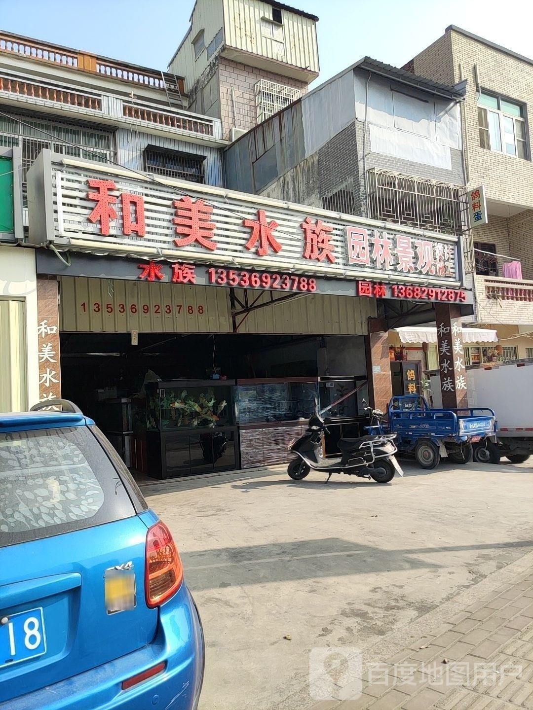 潮南開水族店怎么樣？加盟祥龍魚場賣龍魚市場怎樣？