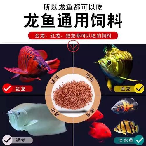 有哪些品牌合成飼料適合龍魚？