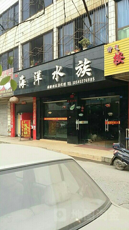 新都開水族店怎么樣？加盟祥龍魚場賣龍魚市場怎樣？ 新都開水族店怎么樣？加盟祥龍魚場賣龍魚市場怎樣？ 水族館百科（水族館加盟） 第3張
