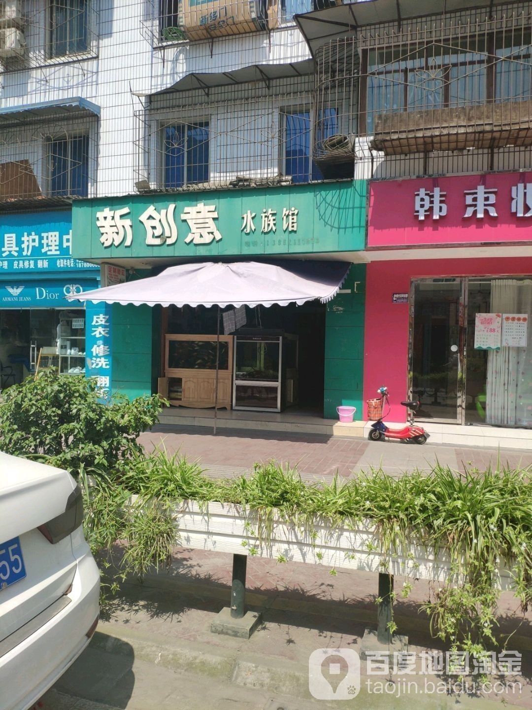 新都開水族店怎么樣？加盟祥龍魚場賣龍魚市場怎樣？ 新都開水族店怎么樣？加盟祥龍魚場賣龍魚市場怎樣？ 水族館百科（水族館加盟） 第4張