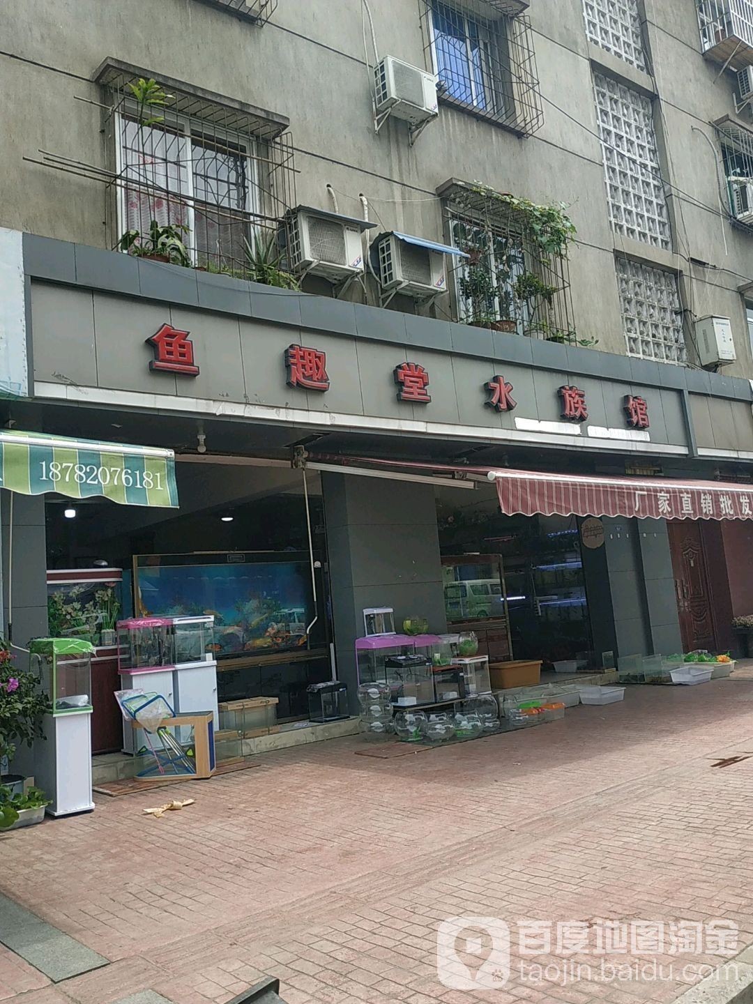 新都開水族店怎么樣？加盟祥龍魚場賣龍魚市場怎樣？ 新都開水族店怎么樣？加盟祥龍魚場賣龍魚市場怎樣？ 水族館百科（水族館加盟） 第5張
