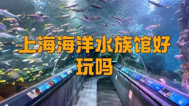莒南開水族店怎么樣？加盟祥龍魚場賣龍魚市場怎樣？