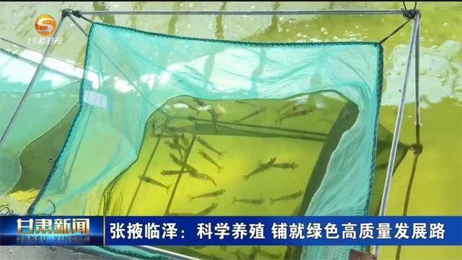 臨澤開水族店怎么樣？加盟祥龍魚場賣龍魚市場怎樣？