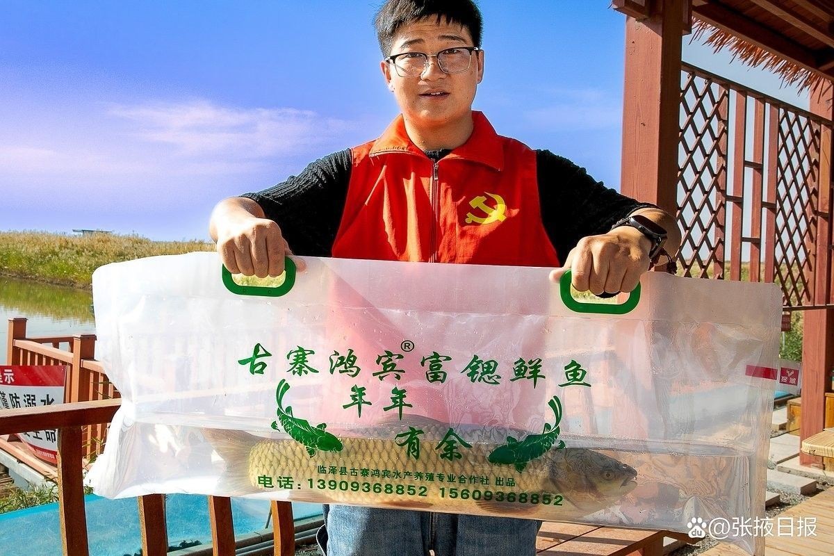 臨澤開水族店怎么樣？加盟祥龍魚場賣龍魚市場怎樣？