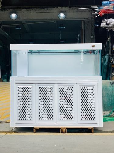 晉中開水族店怎么樣？加盟祥龍魚場賣龍魚市場怎樣？