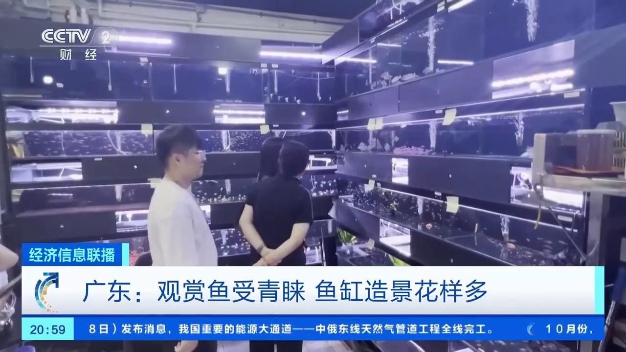 漣水開水族店怎么樣？加盟祥龍魚場賣龍魚市場怎樣？