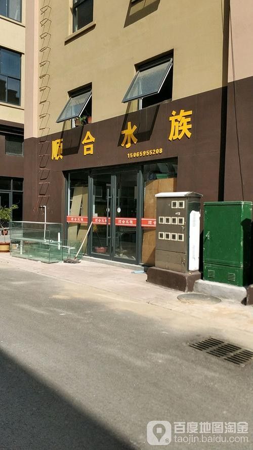 合水開水族店怎么樣？加盟祥龍魚場賣龍魚市場怎樣？