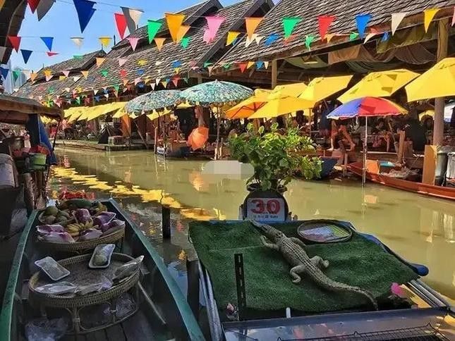 英吉沙開水族店怎么樣？加盟祥龍魚場賣龍魚市場怎樣？ 英吉沙開水族店怎么樣？加盟祥龍魚場賣龍魚市場怎樣？ 水族館百科（水族館加盟） 第2張