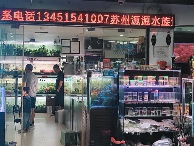 蘇州開水族店怎么樣？加盟祥龍魚場賣龍魚市場怎樣？