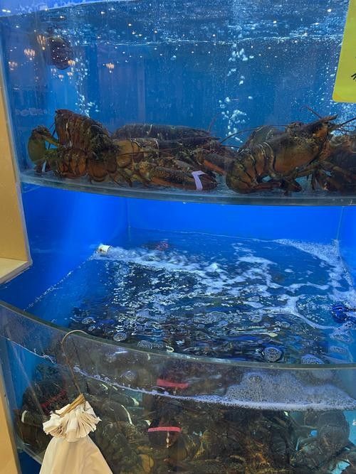 蘇州開水族店怎么樣？加盟祥龍魚場賣龍魚市場怎樣？