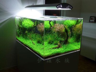 魚缸維修上門服務(wù)24小時（魚缸維修上門服務(wù)評價查詢）