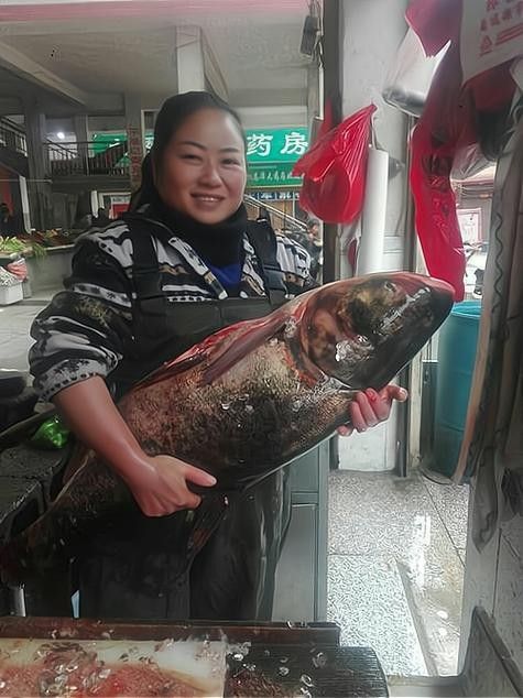 共青城開水族店怎么樣？加盟祥龍魚場賣龍魚市場怎樣？