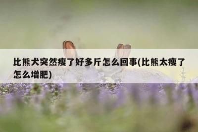 龍魚魚糞便判斷魚的健康（龍魚的糞便顏色和形狀可以作為健康狀況的一個指標）